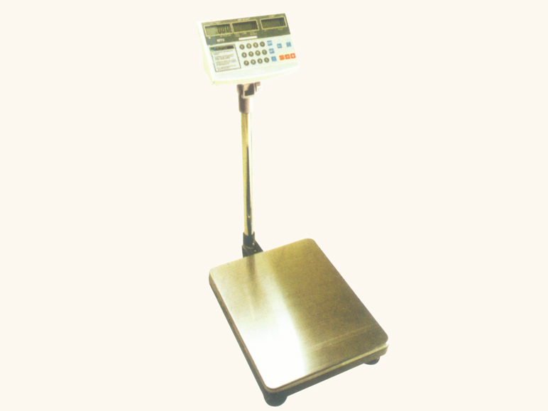 ATC、MTC系列電子計(jì)數(shù)秤